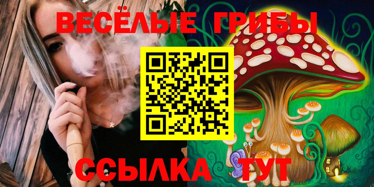 Галлюциногенные грибы мухоморы  где продают наркотики  Фролово  Вход с VPN 